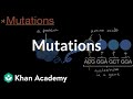 Mutations Inheritance And Variation Middle School Biology Khan Academy