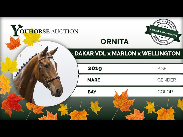 Ornita