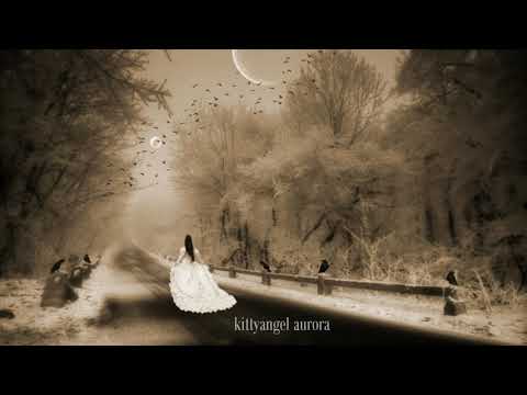 kittyangel - aurora //2021