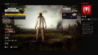 久しぶりにグダグタサバイバル(PUBG)