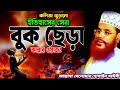 কলিজা জুড়ানো ইতিহাসের সেরা ওয়াজ Allama D