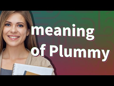 Plummy | meaning of Plummy