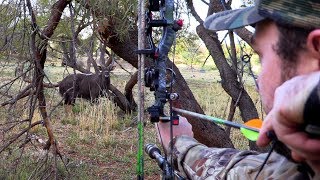 Spot &amp; Stalk NYALA and BLACK IMPALA! A Real Bowhunting Adventure at Knoppieskraal