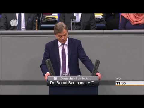 Erste AfD-Rede im Bundestag von Dr. Bernd Baumann