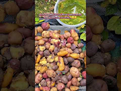 A mi pueblito te voy a a llevar . 😋🫢 #pomabamba #ancash #tradiciones #viral