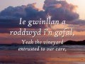 Gwinllan a Roddwyd - Dafydd Iwan (geiriau / lyrics ...