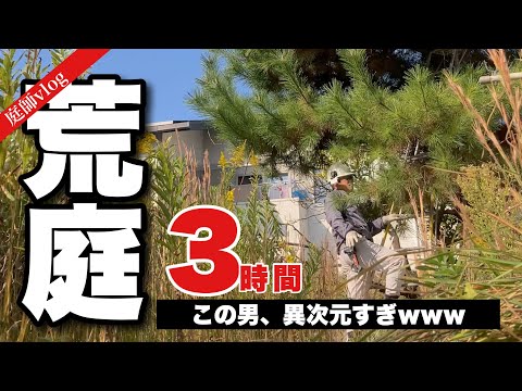 jardin-alpin-maison-plantes-tapissantes-graminées