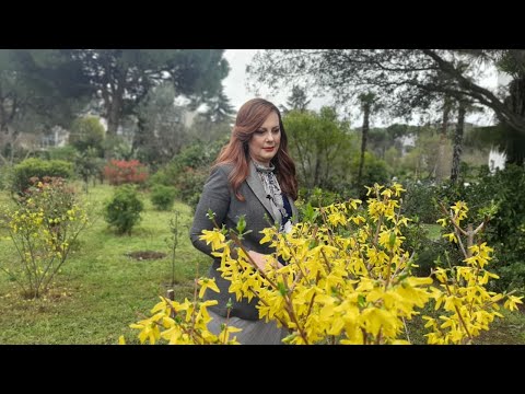 Vitrina e librit/ Sekreti i Parisit – Natasha Lester