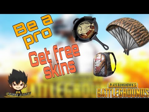 Get free skins | Bag, parasuit, pan | PUBG | Video