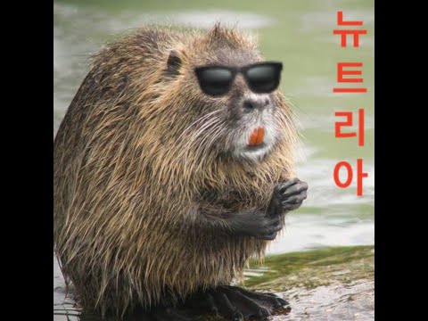 [Official M/V] WONMI GANG - 뉴트리아 (Yellow knife, Broken leg)