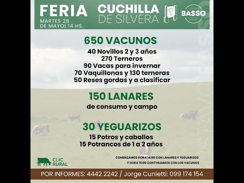 28/05/2024 Gustavo Basso Negocios Rurales - Local Cuchilla de Silvera - Lavalleja
