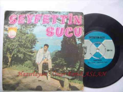 Seyfettin SUCU -- Karşımda Oturanlar