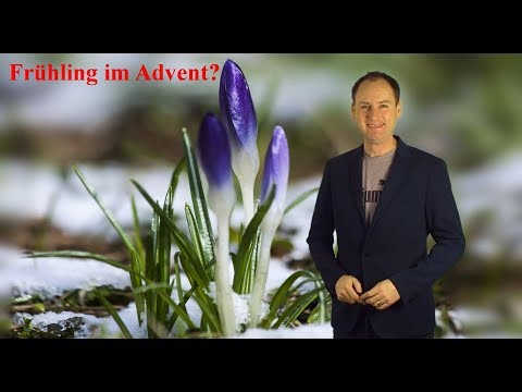 Frühlingserwachen im Advent: Spitzenwerte bis 16 Grad möglich! (Mod.: Dominik Jung)