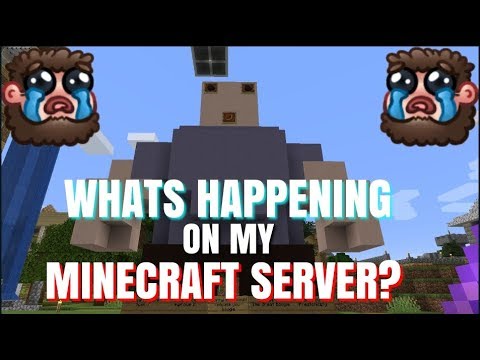 Whats Happening On My Minecraft Server?