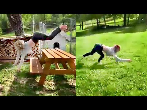 Part 1: Girl running like a Dog / The Human Dog Run / Девушка-собака / Doggirl / Quadrobics