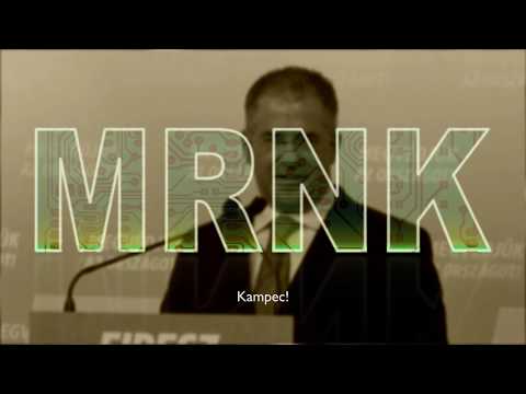 Kósa, Orbán, Gyurcsány - Despacito (MRNK Remix)