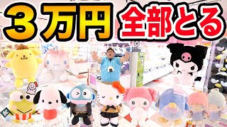 【サンリオ全部取る!!】クレーンゲーム3万円でサンリオキャラクター大賞TOP10を全部取りきることが出来るのか?!