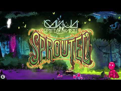 Ganja White Night x Peekaboo x P Money - No Room | Official Visualizer