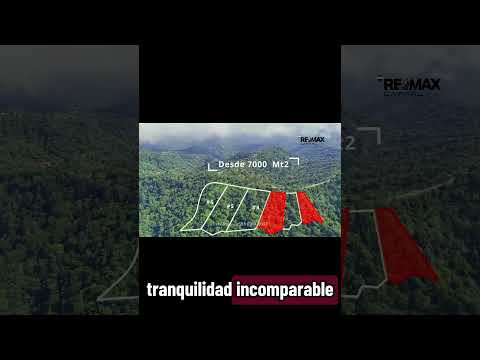 img-video