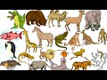Geoffrey S Animal Alphabet Con Musica