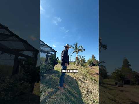 FAZENDA À VENDA em SANTA CATARINA | 59 HECTARES R$2.390.000
