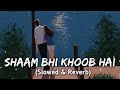 SHAAM BHI KHI KHOOB HWI