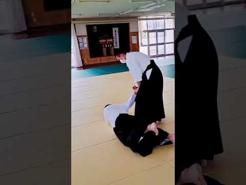 【🥋合気道🥋】小手返しの返し方　 reversal technique