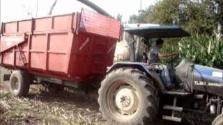 Corn silage original sound.wmv