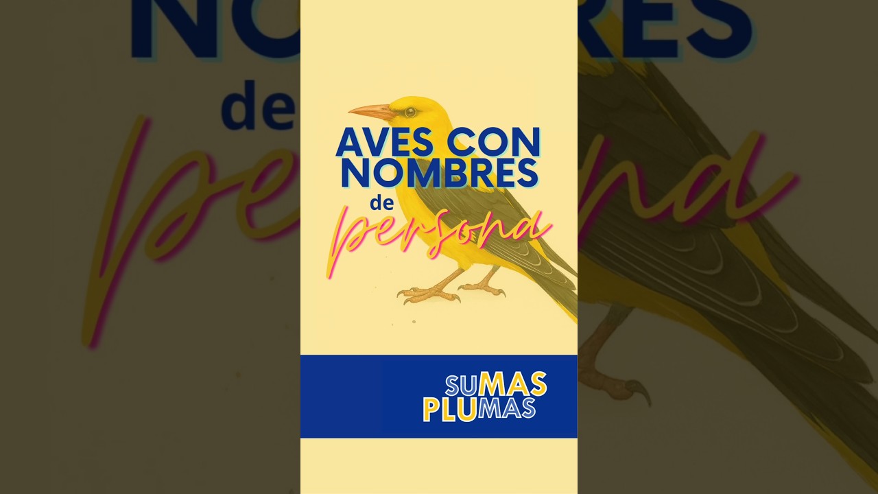 Aves con nombres de persona