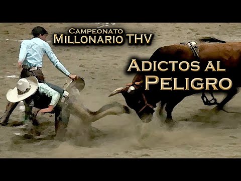 Pure Adrenaline - Dynamite Bulls vs. Riders - Bull Riding - 2022 THV Millionaire Championship