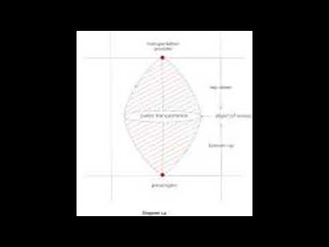 Marshall Mc — November 15, 2025 | Quote of the Day