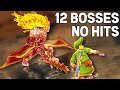 Skyward Sword Boss Rush NO HITS NO SHIELD