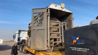 Elephant on the Move: Day 2!