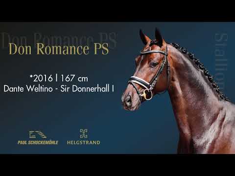 Don Romance PS - Dressurkollektion 2022 Schockemöhle & Helgstrand (DEU)