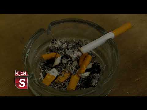 Dan bez duvanskog dima