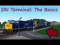 Ro Scale SRI Terminal: The Basics