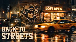 Back to the Streets 🔥 Classic Underground Boom Bap Instrumental Mix (No Lyrics)