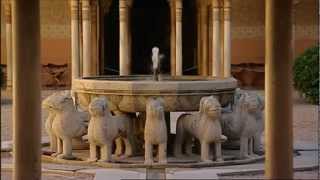 Gandalf - Alhambra - Granada