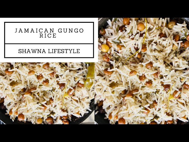 Video Pronunciation of Gungo in English Video Pronunciation of Gungo in English