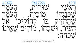 מסכת פאה פרק ו משנה ג