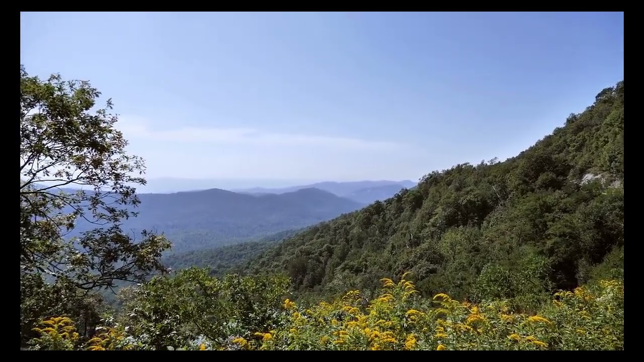 Explore the Asheville Adventure Guide by The Adventure Collective