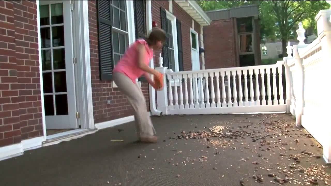 View from the Hill - WKU's white squirrel phenomenon Video Preview