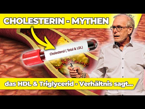 CHOLESTERIN-SCHOCK? Diese Zahlen musst du kennen!