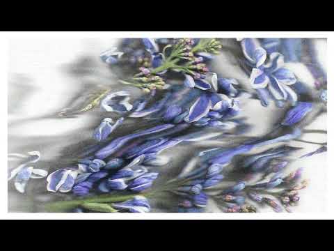 Roodnoot - Could I (Official Audio)