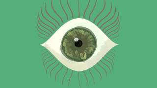 Question Your World - Why Do We Have Eyelashes
