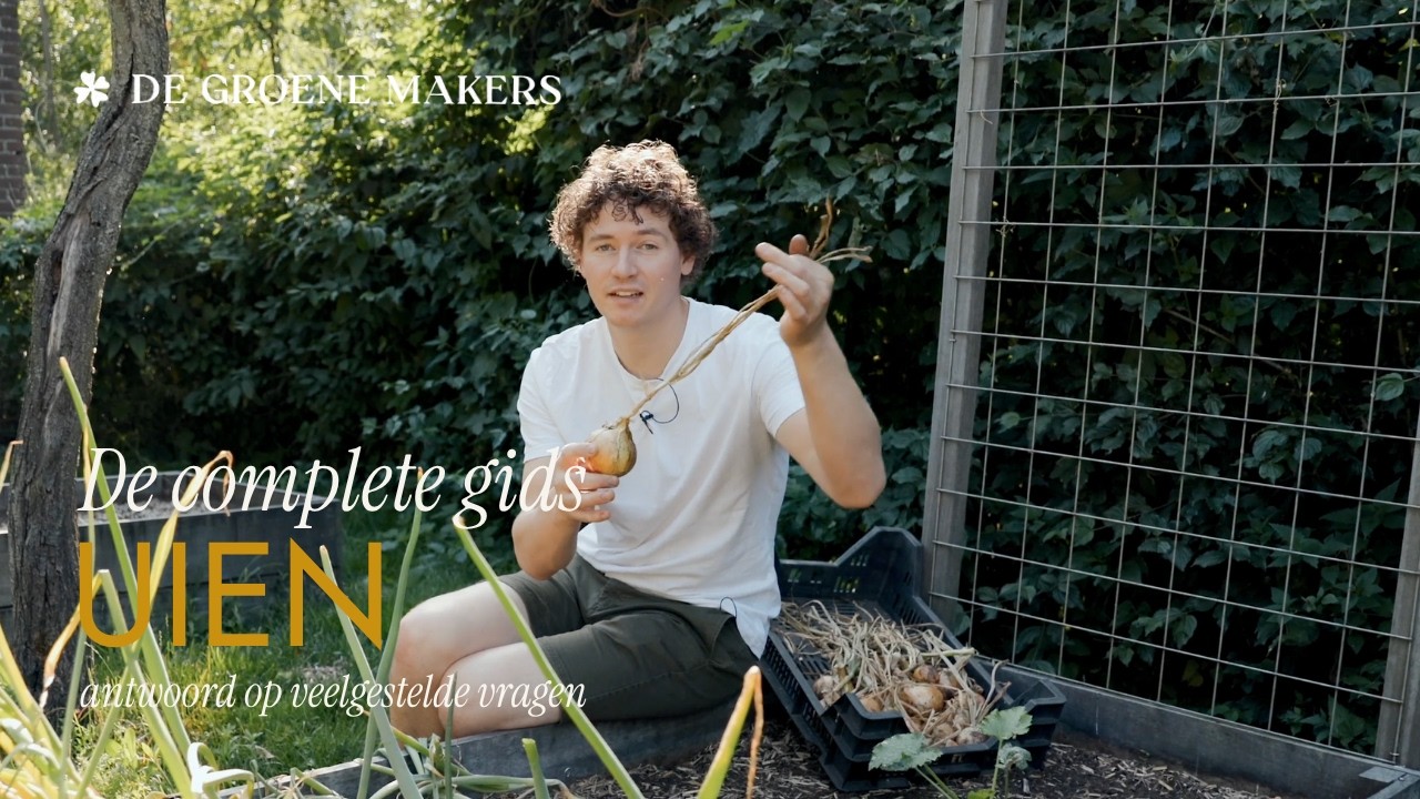Zelf uien kweken in de moestuin