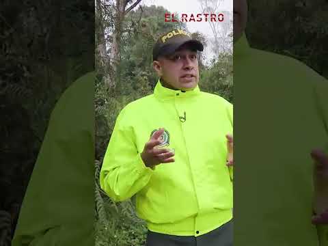 ¿Dónde estaba Alexis Delgado? Desaparición y crimen de niño de 2 años - El Rastro