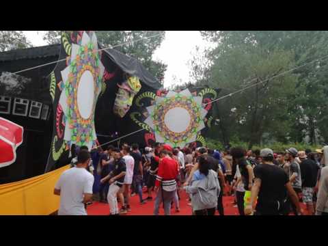 INFECTED GUITARS - A-Mush(1) - 2017