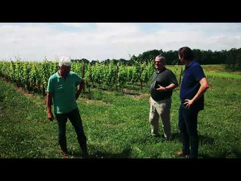 Impressionen vom Weingut Domaine de Gensac im Gers