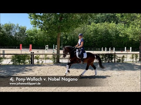 4j. Pony-Wallach v. Nobel Nagano - FOR SALE